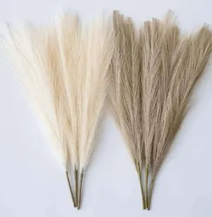 45cm Pampas Grass Simulation