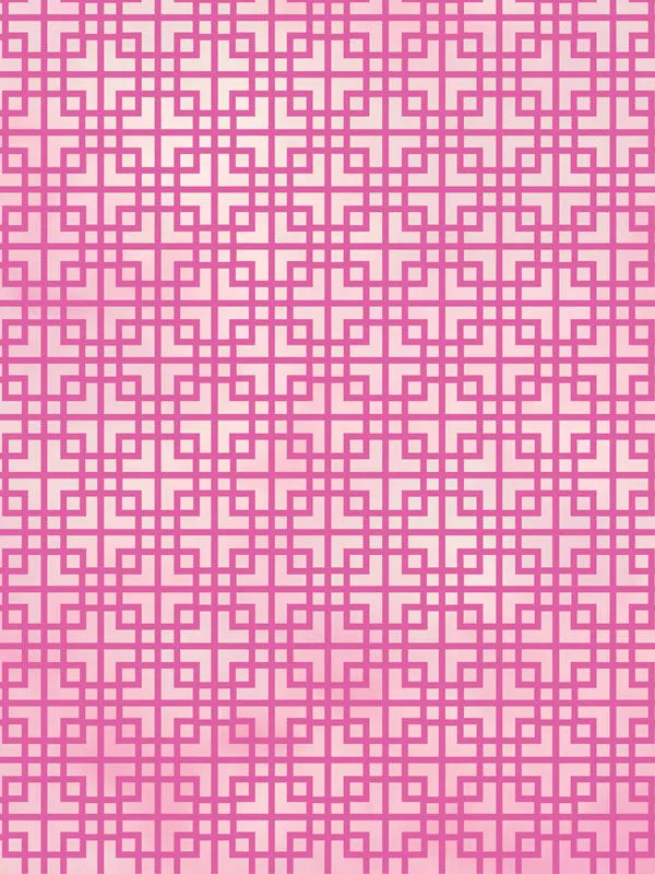 Barbie's Pink Pattern Photography Backdrop