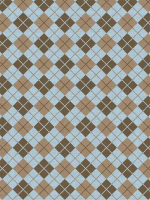 Blue Argyle Printed Photo Backdrop